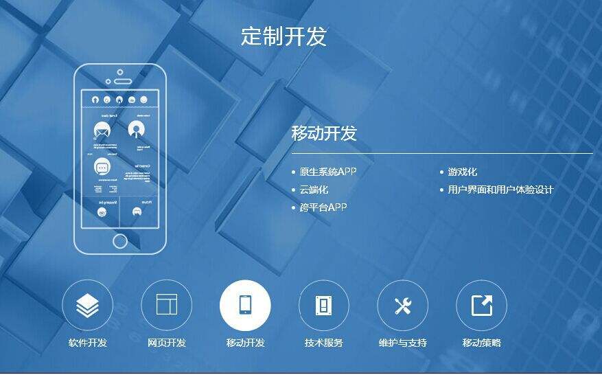 APP定制开发